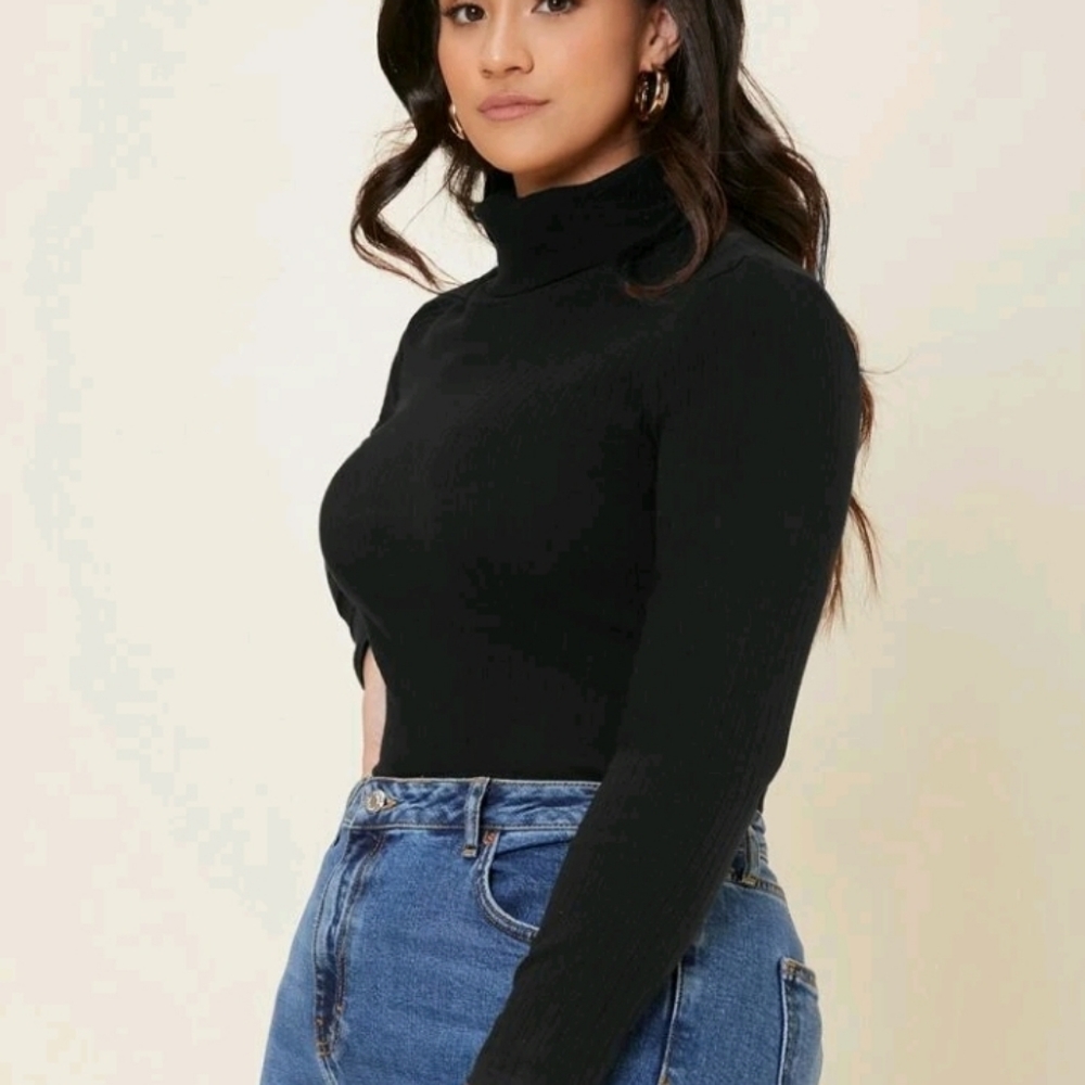 Ribbed Turtle  neck